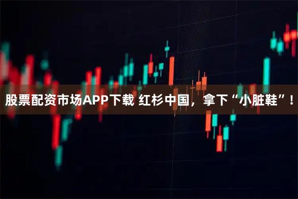 股票配资市场APP下载 红杉中国，拿下“小脏鞋”！