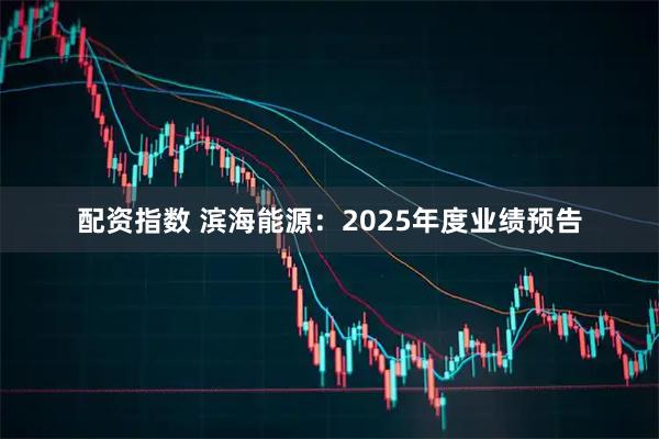 配资指数 滨海能源：2025年度业绩预告