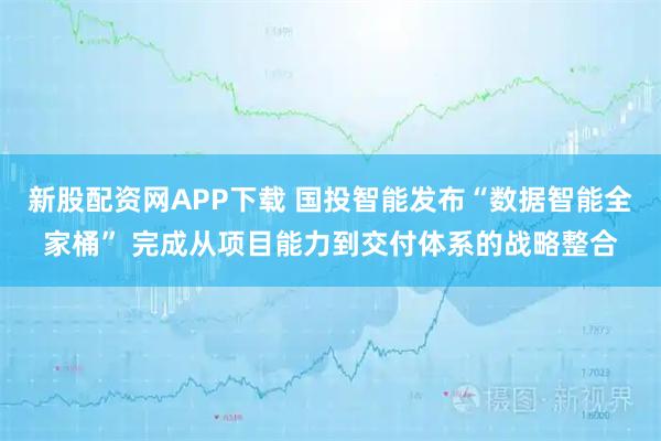 新股配资网APP下载 国投智能发布“数据智能全家桶” 完成从项目能力到交付体系的战略整合